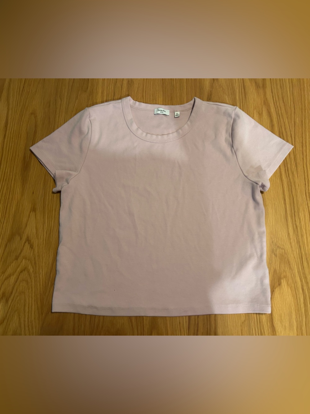 Aritzia Sunday Best InterLock Cotton Function T-Shirt Wildflower Lilac Size XL